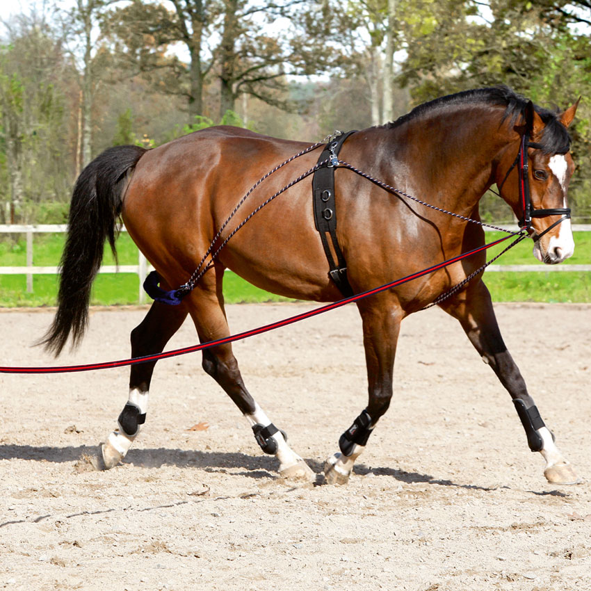 Deluxe Lunge Aid