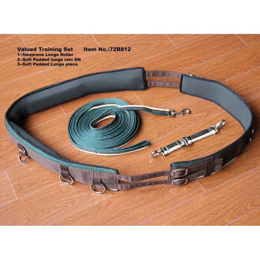 Valued Trainning Set