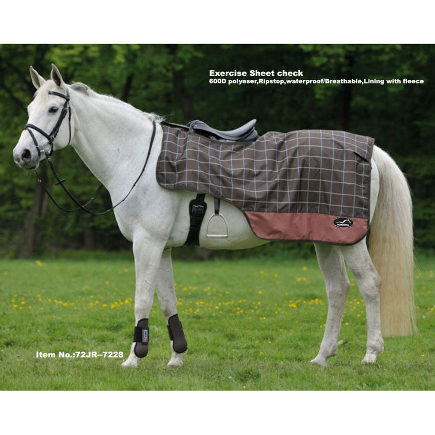 600D Ripstop exercise Sheet Check